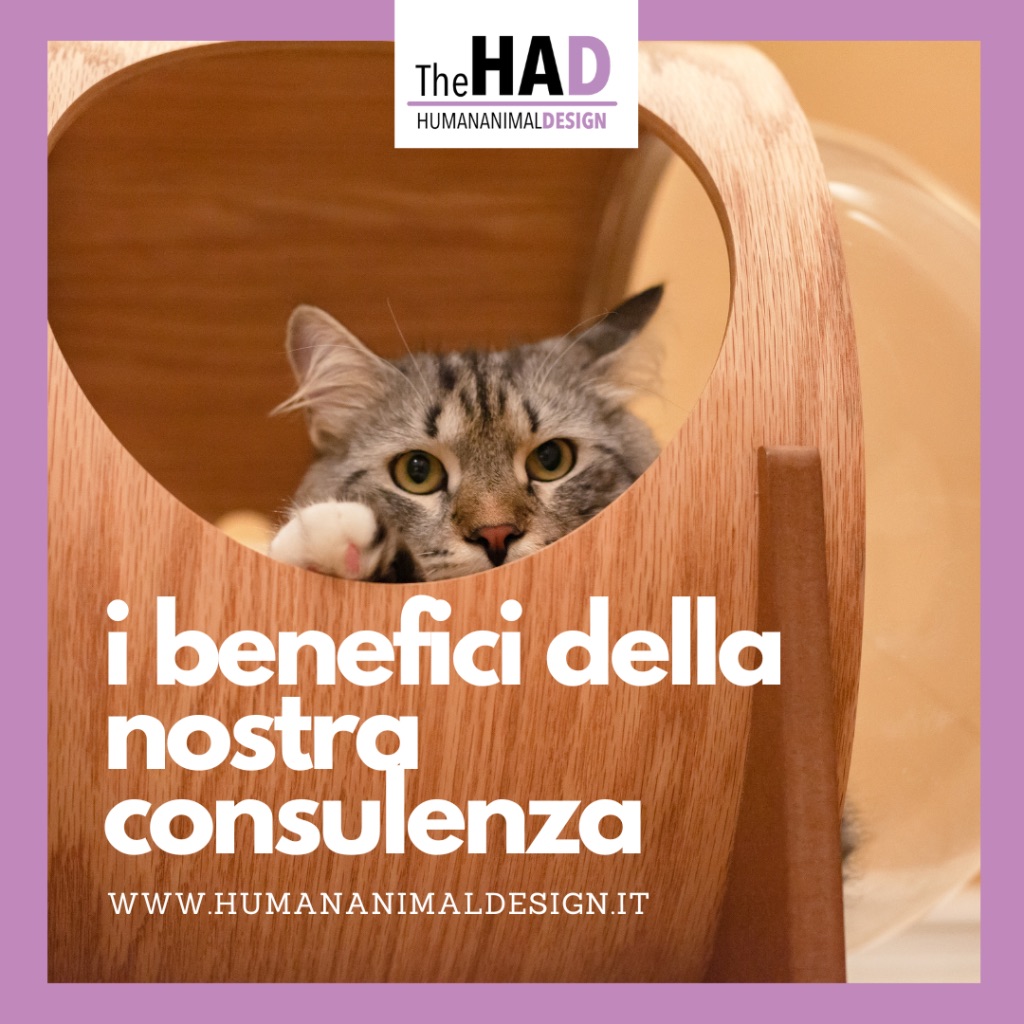 I benefici delle nostre consulenze ambientali per la convivenza con animali domestici