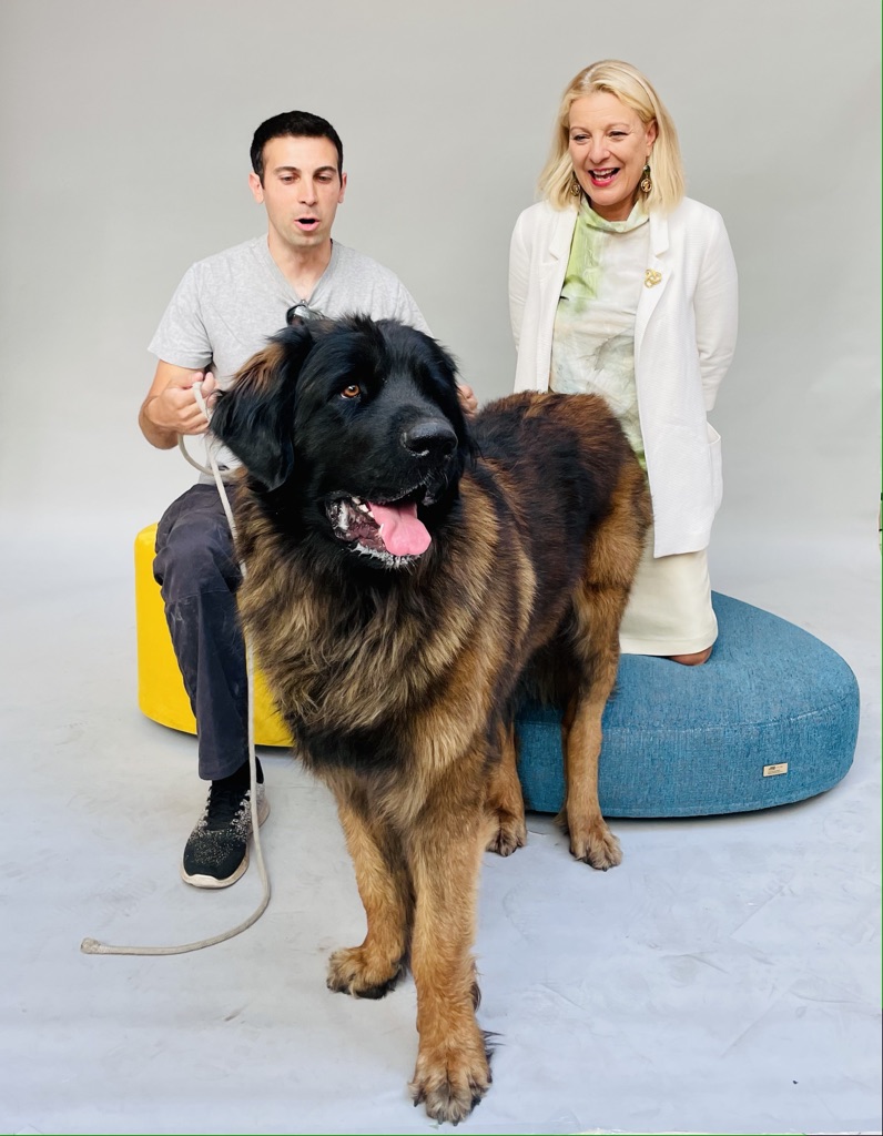 2023. I Meandri divani per cani e umani all'Arca di Noè in Tour. Milano.