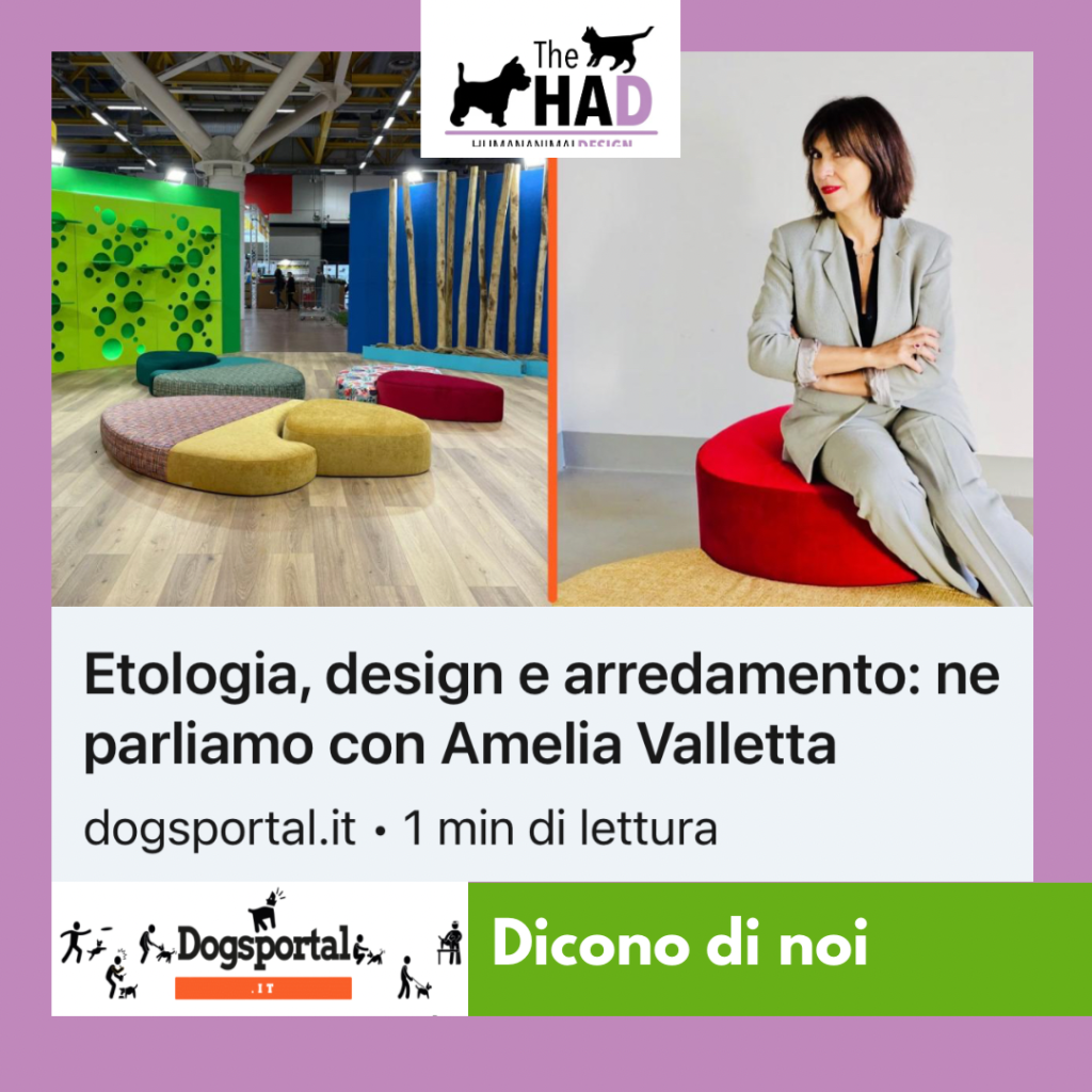 2023. Pet Design: intervista su Dog Portal