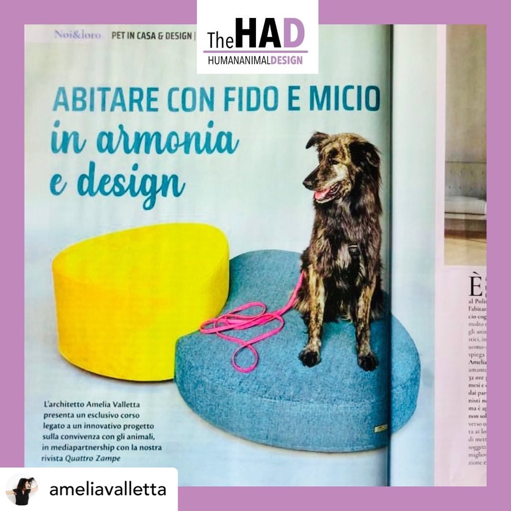 2023. Pet design. Abitare con fido e Micio. Quattrozampe Sett/23