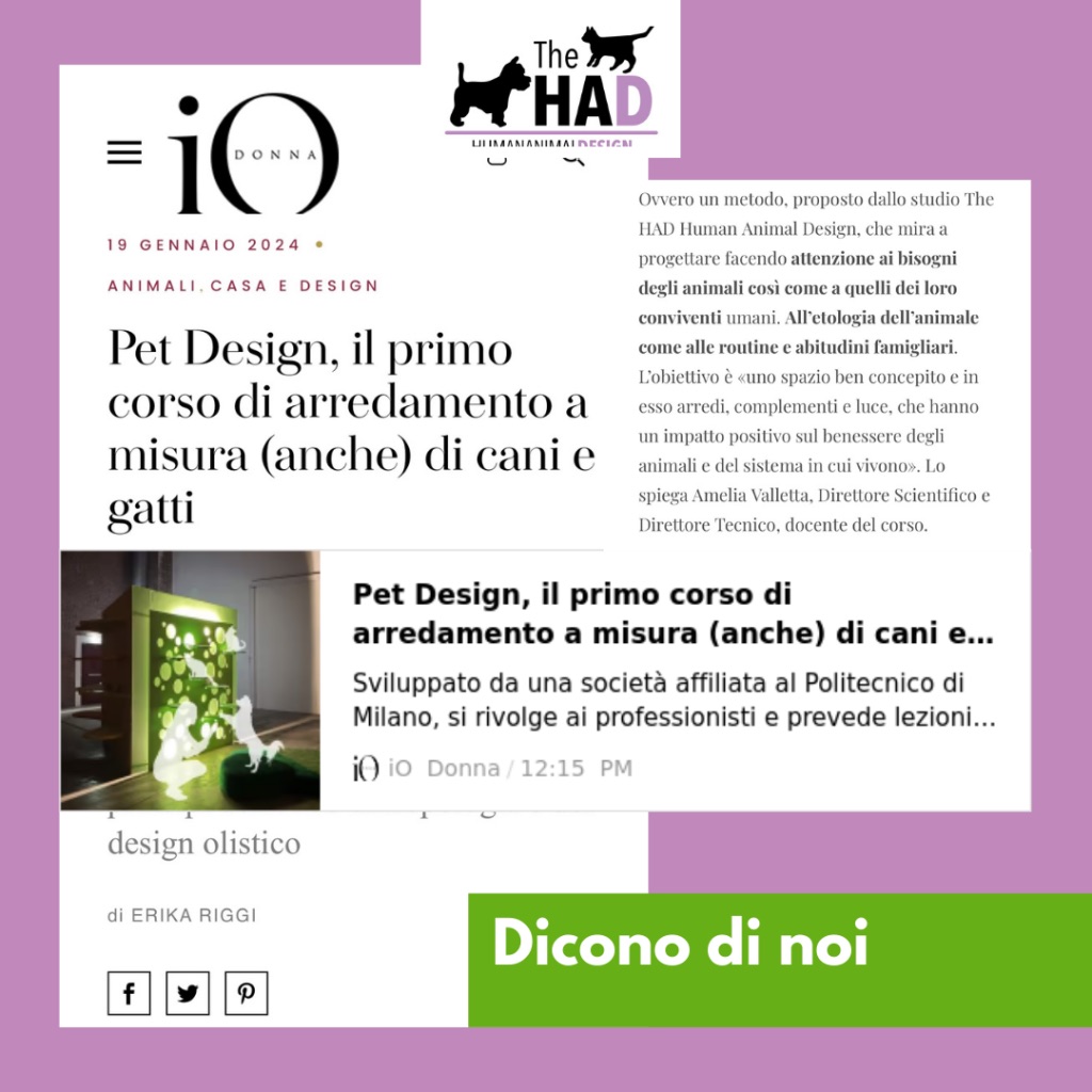 2024. Corso Pet Design: intervista su IO Donna
