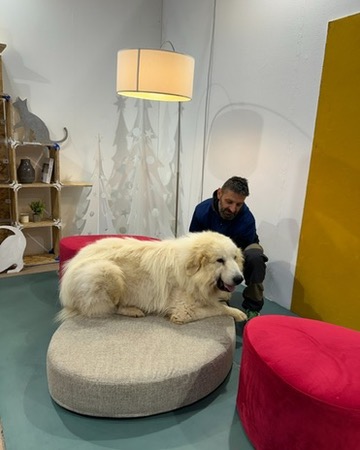 2025. Rassegna stampa dedicata a La Casa Pet Torino.