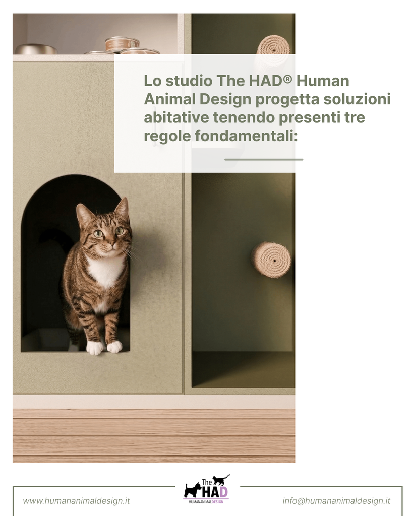 #1.2026 Living Together®: pet friendly living, nasce il nuovo spazio editoriale dedicato alla cultura del vivere con gli animali.