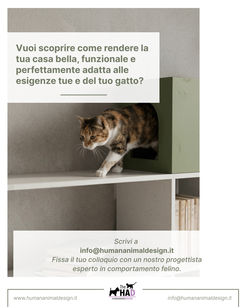 #1.2026 Living Together®: pet friendly living, nasce il nuovo spazio editoriale dedicato alla cultura del vivere con gli animali.